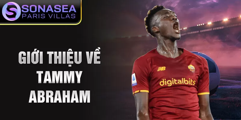 Giới thiệu về Tammy Abraham