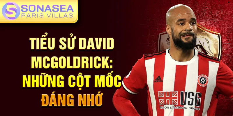 Tiểu sử David McGoldrick: những cột mốc đáng nhớ