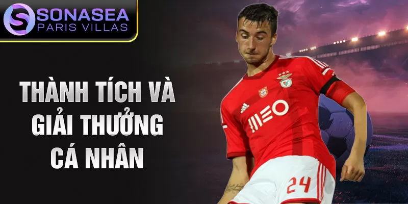 Thành tích và giải thưởng cá nhân