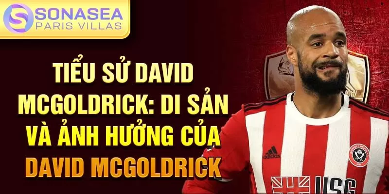 Tiểu sử David McGoldrick: di sản và ảnh hưởng của David McGoldrick